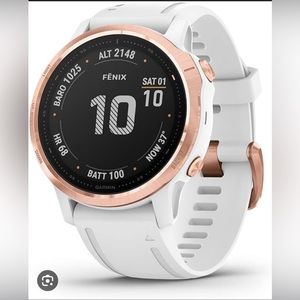Garmin Fenix 6s Pro